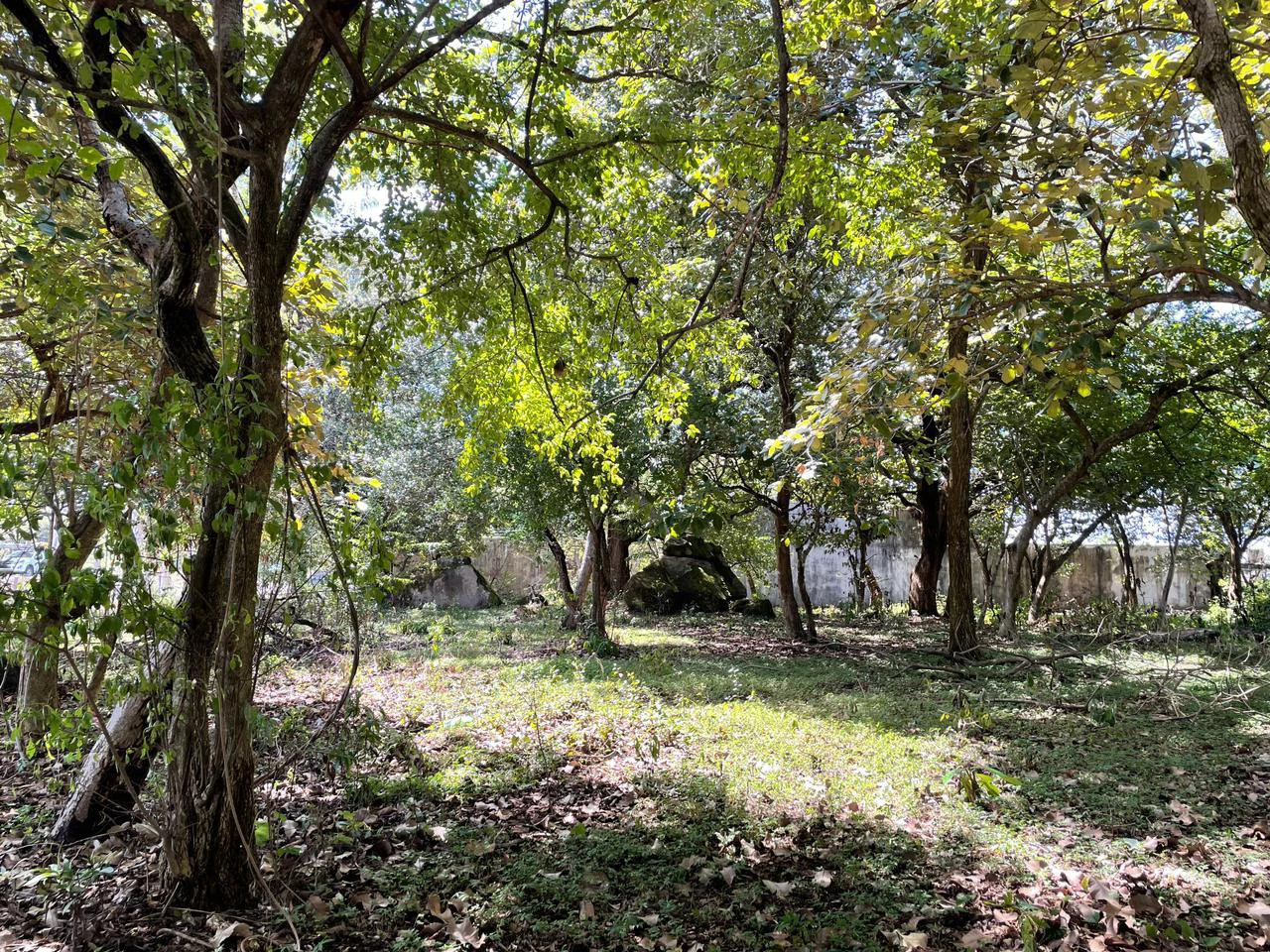 Airport Liberia Top commercial location huge property for sale - Gallery image 20