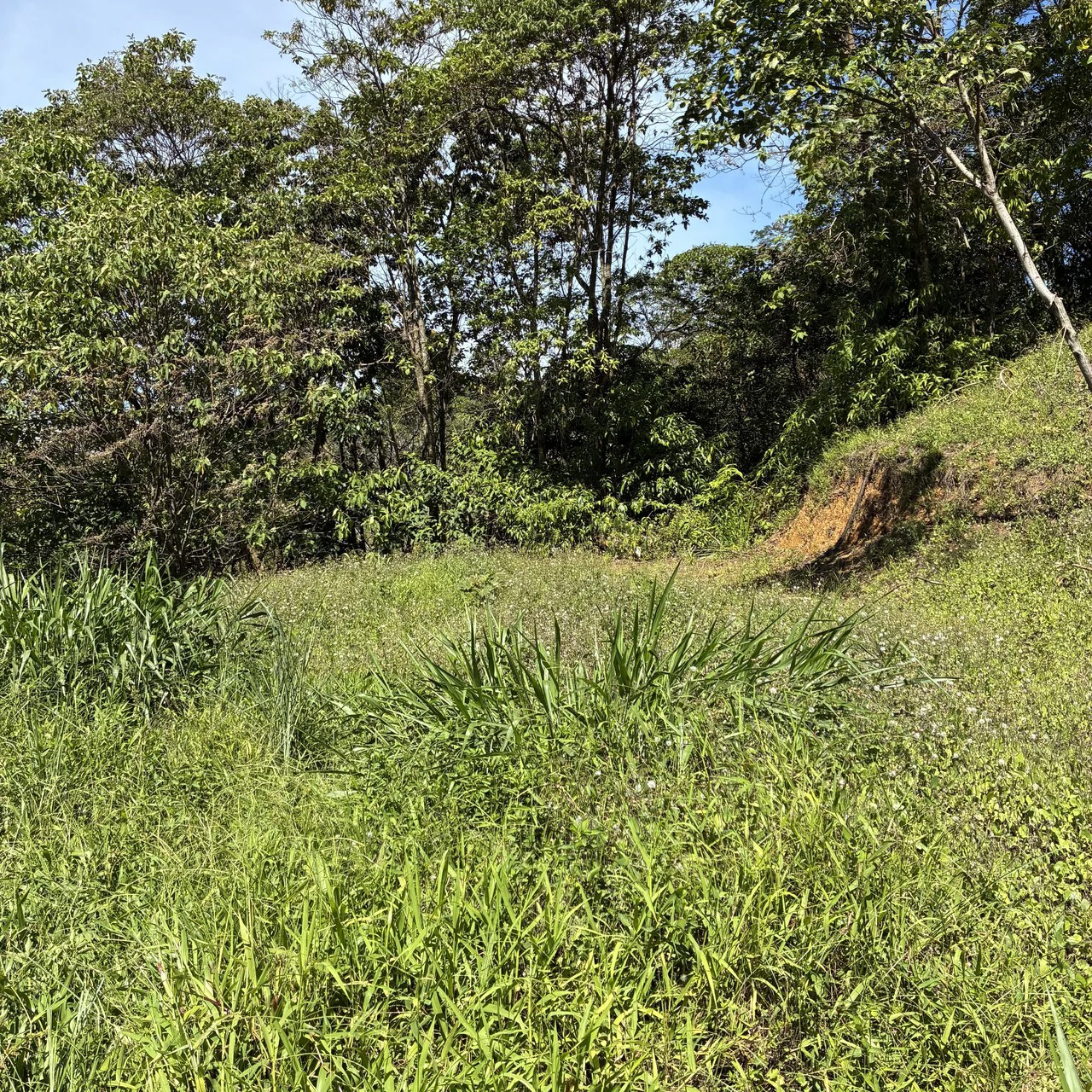 Breathtaking Mountain View Estate in Chimirol, Pérez Zeledón — 1.4 Hectares of Privacy, Nature & Potential: Mountain Home Construction Site For Sale in Chimirol - Gallery image 8