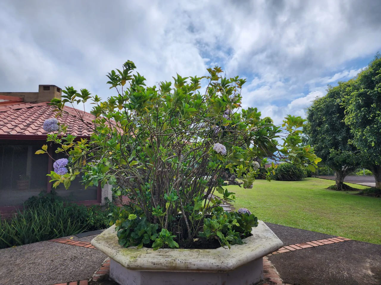 Villa For Sale in San Luis - Gallery image 72