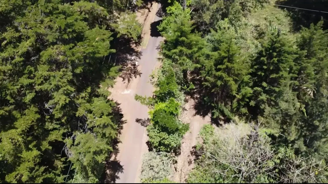 A Hidden Gem in the Heart of Nature | Land in San Rafael de Heredia - Gallery image 7