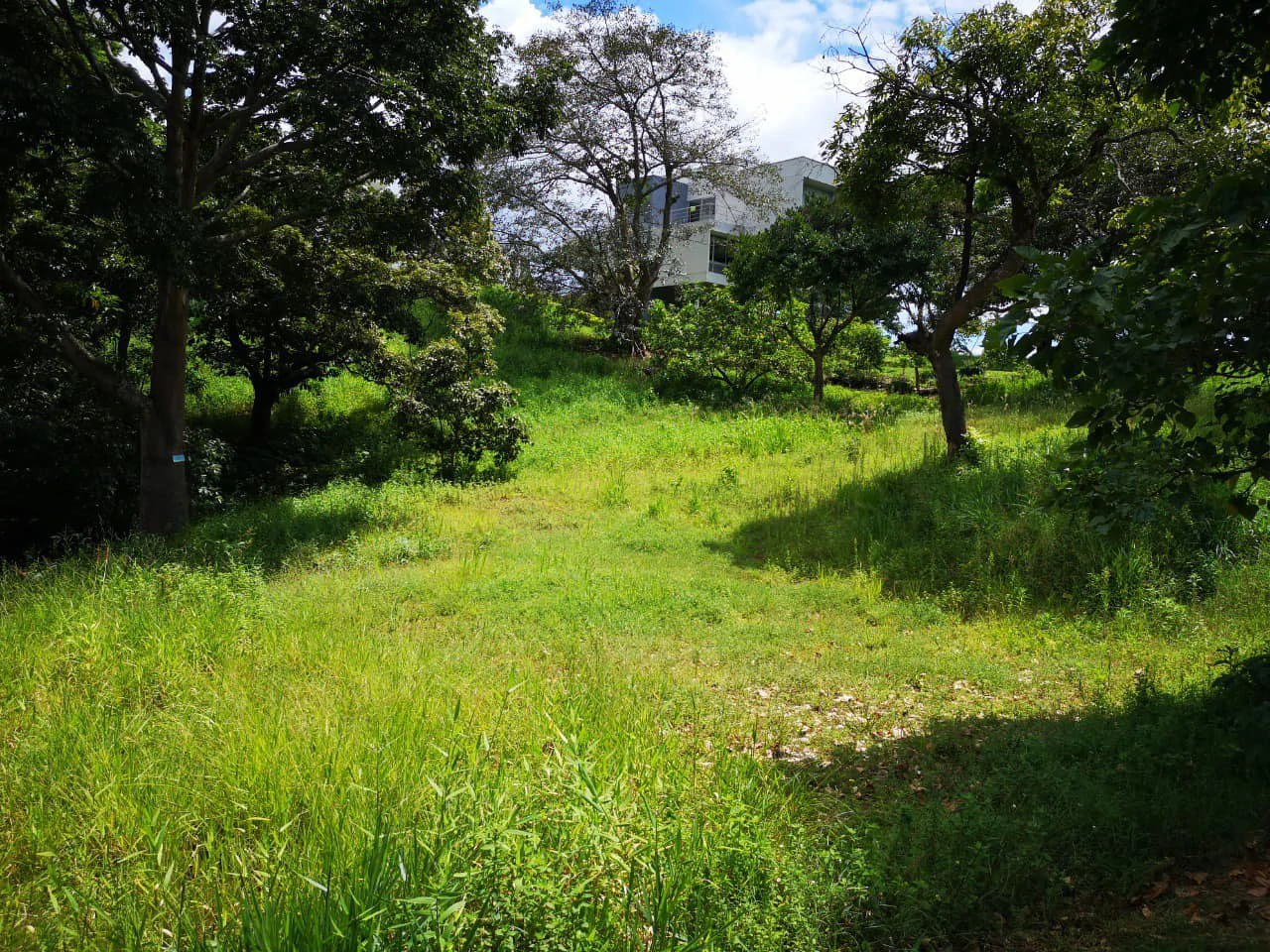 Home Construction Site For Sale in San Miguel - Gallery image 3