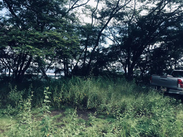 Amazing 50% discount for Huge ocean-view farm for sale surrounded by soft rolling hills and pristine nature - Gallery image 42