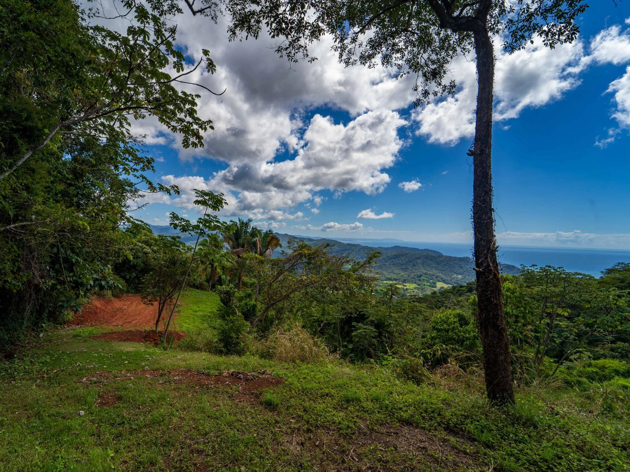 Lote Tres Palmas: Stunning Ocean View lot with 2 Platforms - Gallery image 3