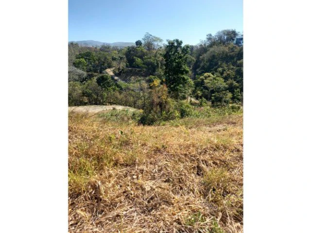 Building Lots for sale in a pristine and peacefull woodland 3 km from Samara Beach - Gallery image 3