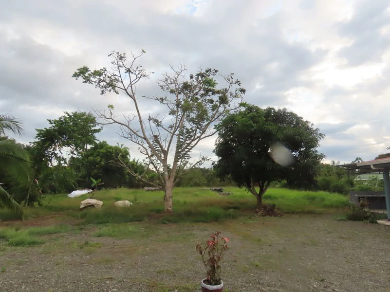For Sale a Complex of Cabins & Office in Playa Blanca, Puerto Jimenez - Gallery image 52