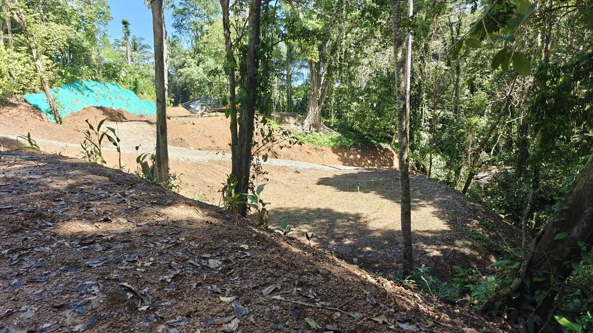 ID  1011: 7535m² Cahuita Land Near the Beach with Building Platform - Gallery image 6