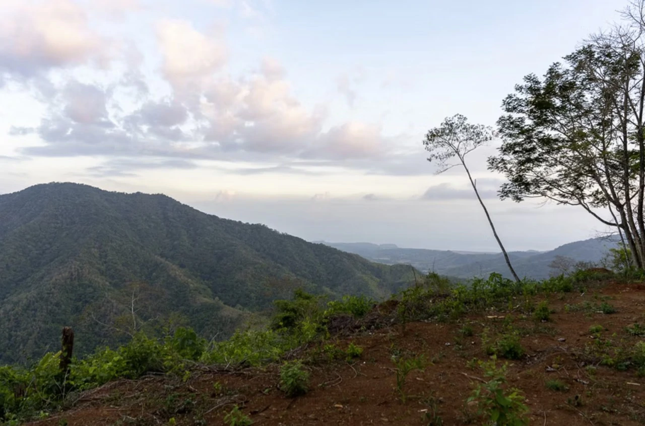 Land for sale Bejuco Nandayure Guanacaste Costa Rica - Gallery image 4