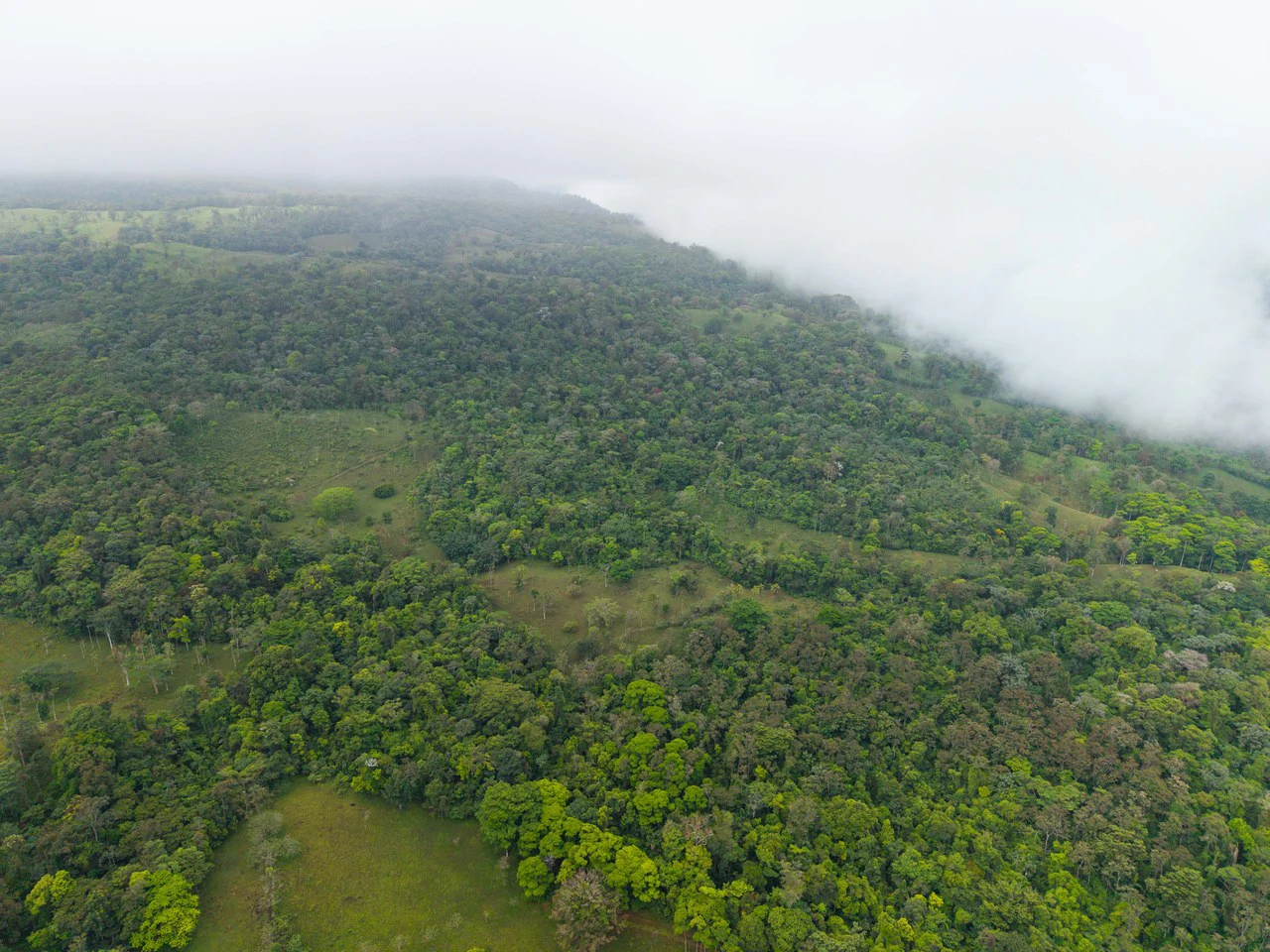 Finca Las Zompopas-Río Celeste: 113-Acre Biodiverse Property in Bijagua, Ideal for Eco-Tourism, Private Retreats, or Sustainable Development - Gallery image 19