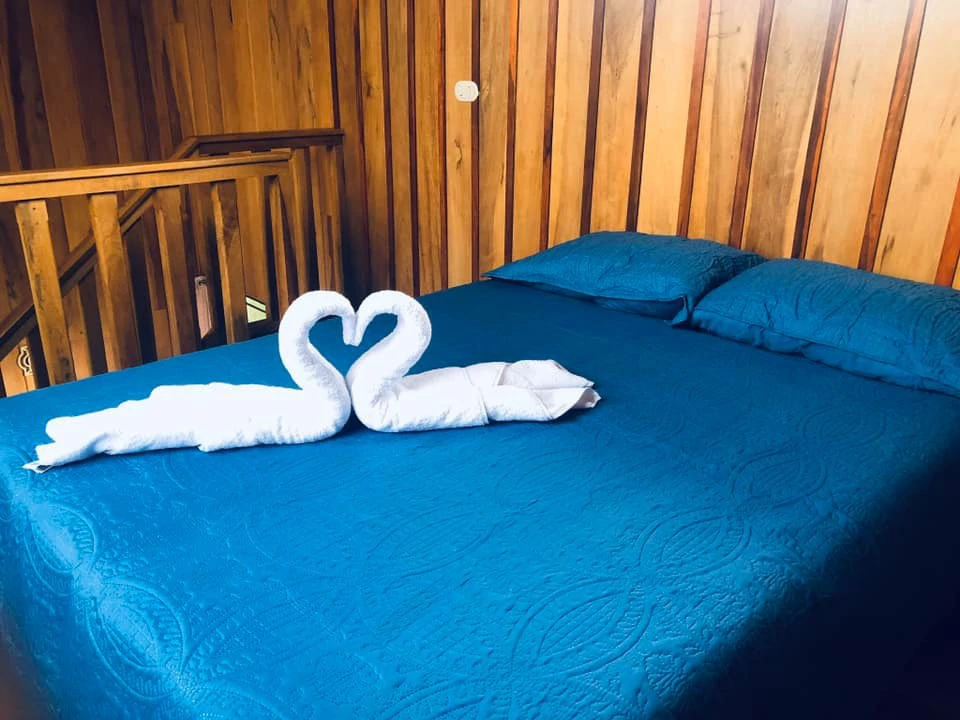 2 Acres with 4 houses Centrally located in Monteverde BV0224: Turn-Key Accommodations Business on 2 Acres Just 5 Minutes from Santa Elena – Surrounded by Nature, Ready to Grow - Gallery image 31