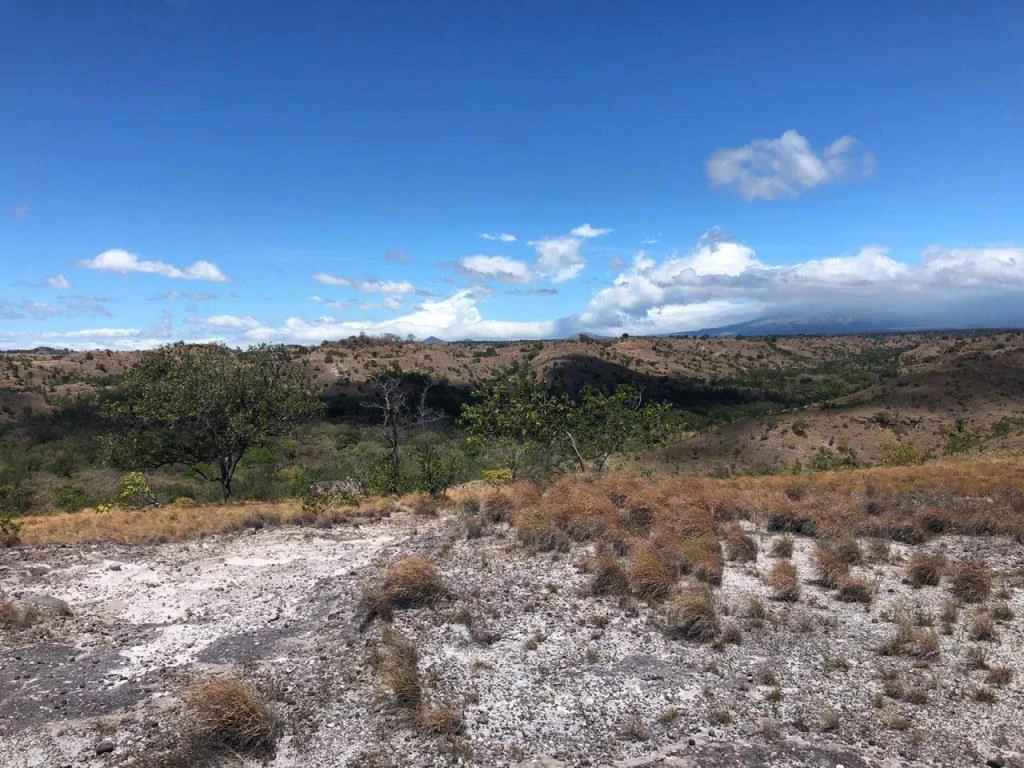 Big Farm: Property of 231 hectares in the Salto de Bagaces - Gallery image 2