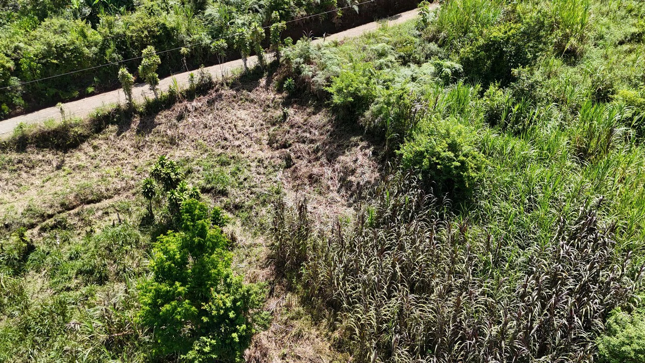 LOTE EN RIVAS: Mountain Agricultural Land For Sale in San Isidro del General - Gallery image 2