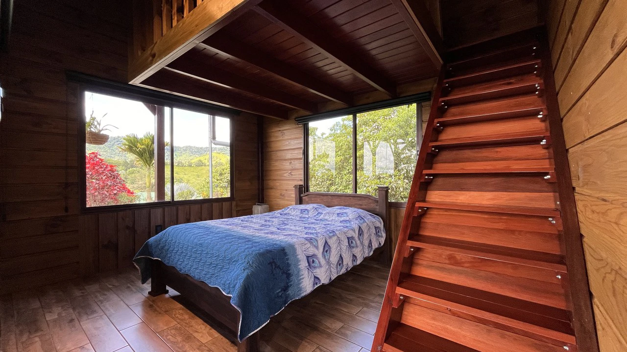 Mountain House For Sale in San Isidro del General - photo 29