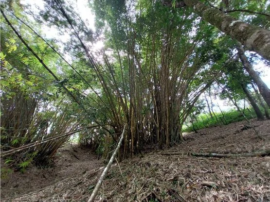 Home Construction Site For Sale in Jacó - Gallery image 9