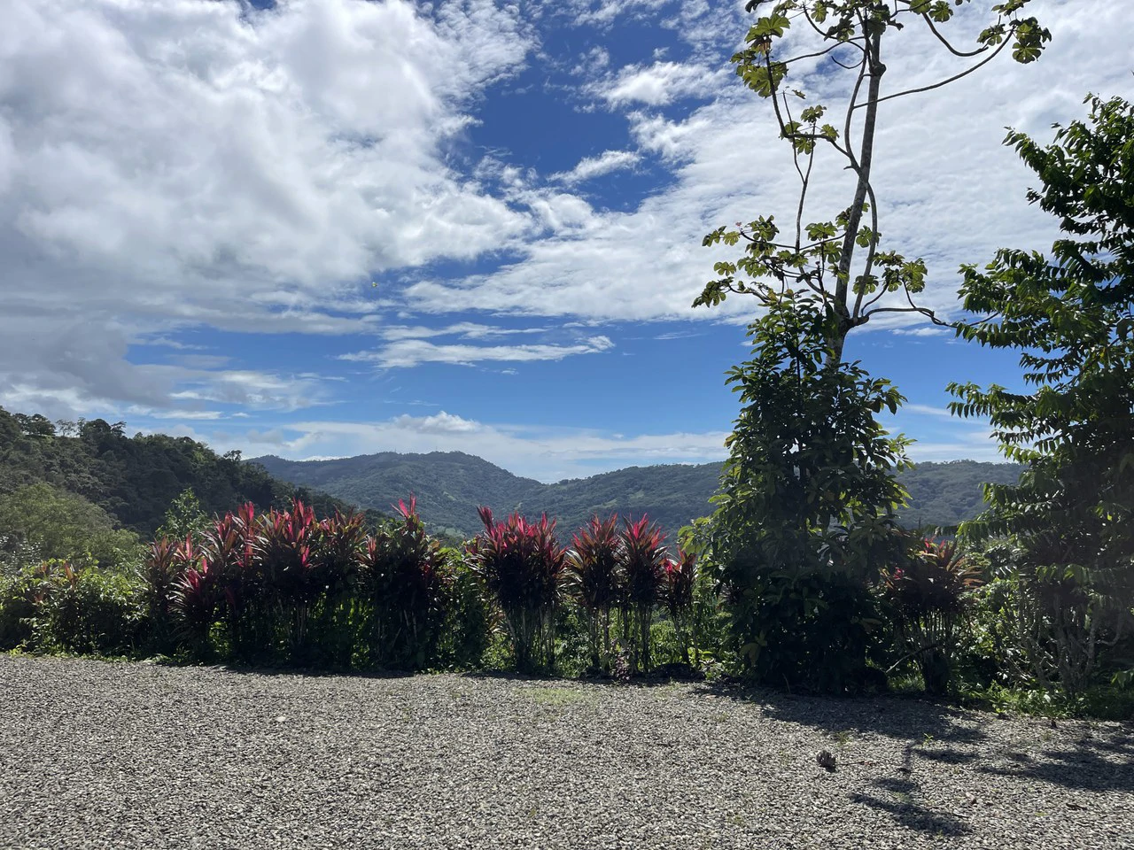 5.2 ACRES – 2 Bedroom Home With 60 Ft Infinity Lap Pool, 1 Bedroom Guest House, Fabulous Ocean View, Mature Fruit Trees!!! - Gallery image 34