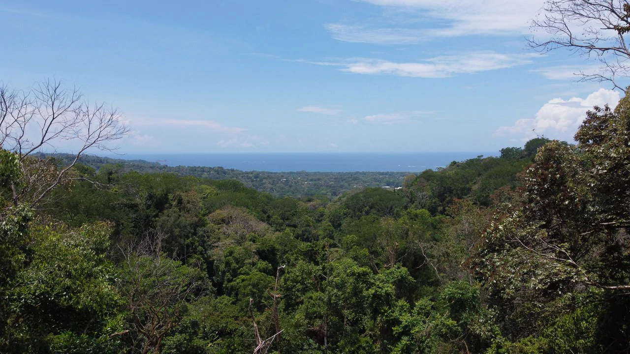 Ocean View Estate Lot with Private Waterfall – Uvita - Gallery image 5