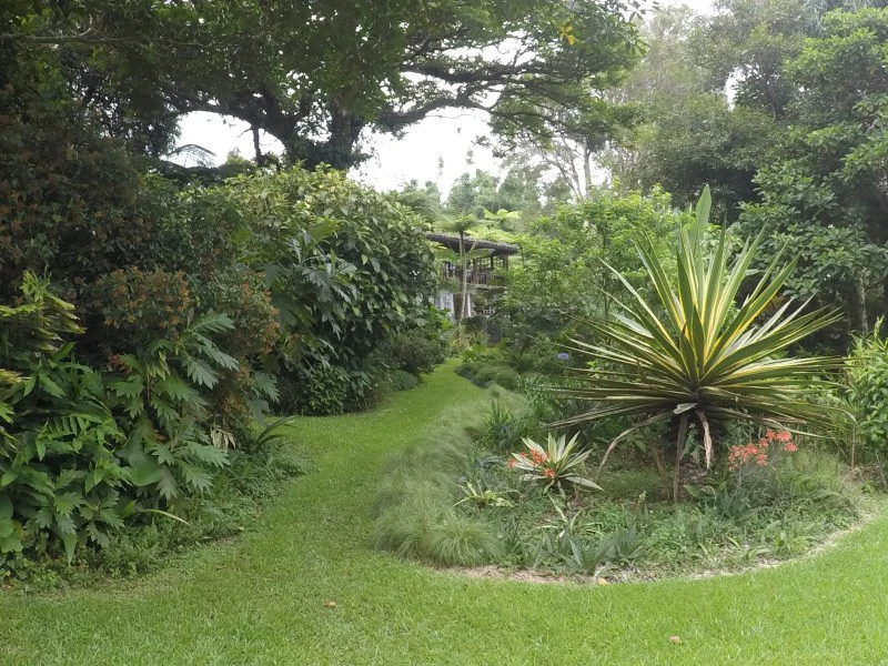 TROPICAL FOREST DREAM 15 min from downtown SJ - Gallery image 12