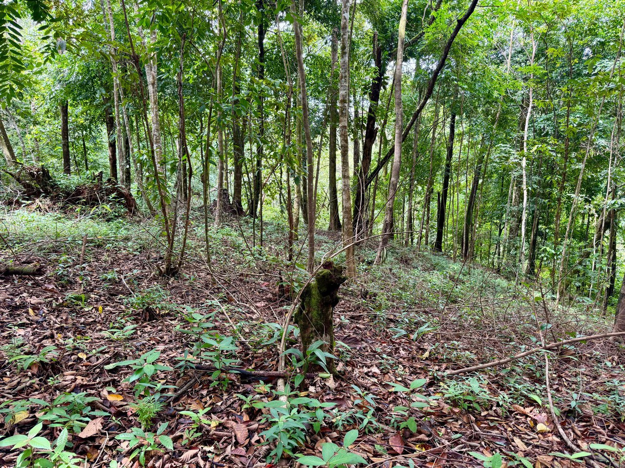 1.65 ACRES – Amazing Sunset Ocean View Property With Huge Building Area, Great Access, Perfect For a Hotel Or Estate!!! - Gallery image 9