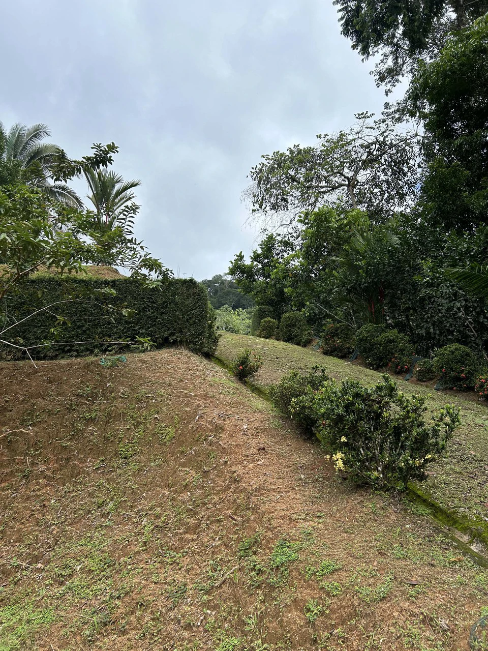 Playa Hermosa: Two Locations to Build, Permits Ready - Gallery image 27