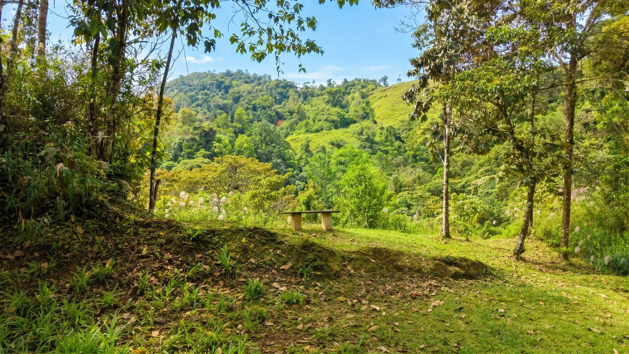 Mountain House For Sale in San Isidro del General - photo 12