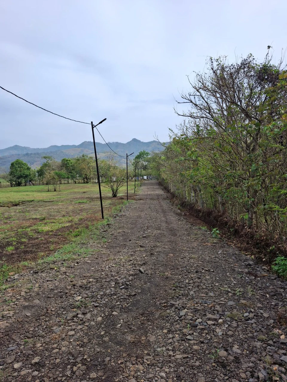 Finca Nature: Beautiful Private Finca near Atenas! - Gallery image 10