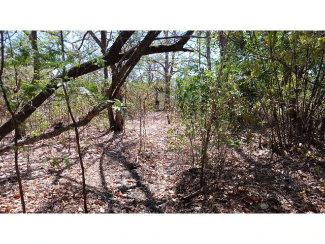 3 Flat topography properties for sale near Playas del Coco, Great building potential in the province of Guanacaste - Gallery image 9