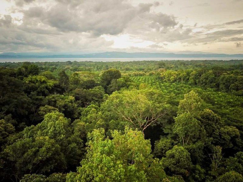 Golfo Dulce Jungle Reserve Extraordinary property in Cañaza
