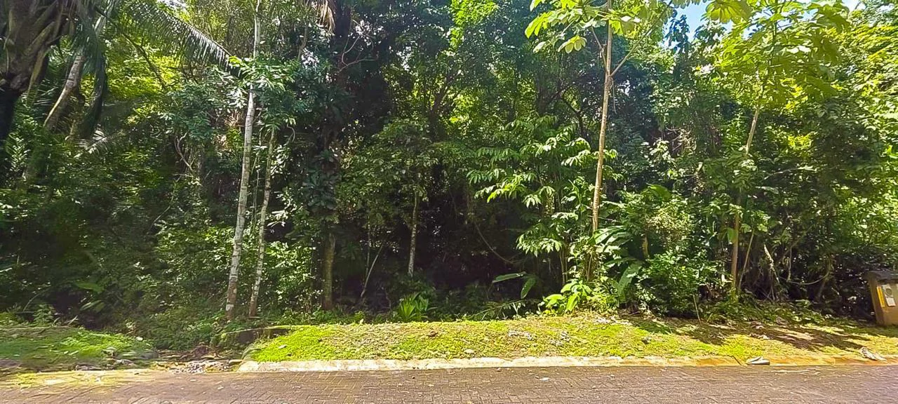 LAND FOR SALE IN COSTA ESTERILLOS ESTATES - Gallery image 6