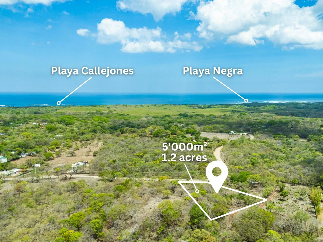 Pura Jungla Lots: Expansive Lots with Water Availability in Los Pargos - Gallery image 7