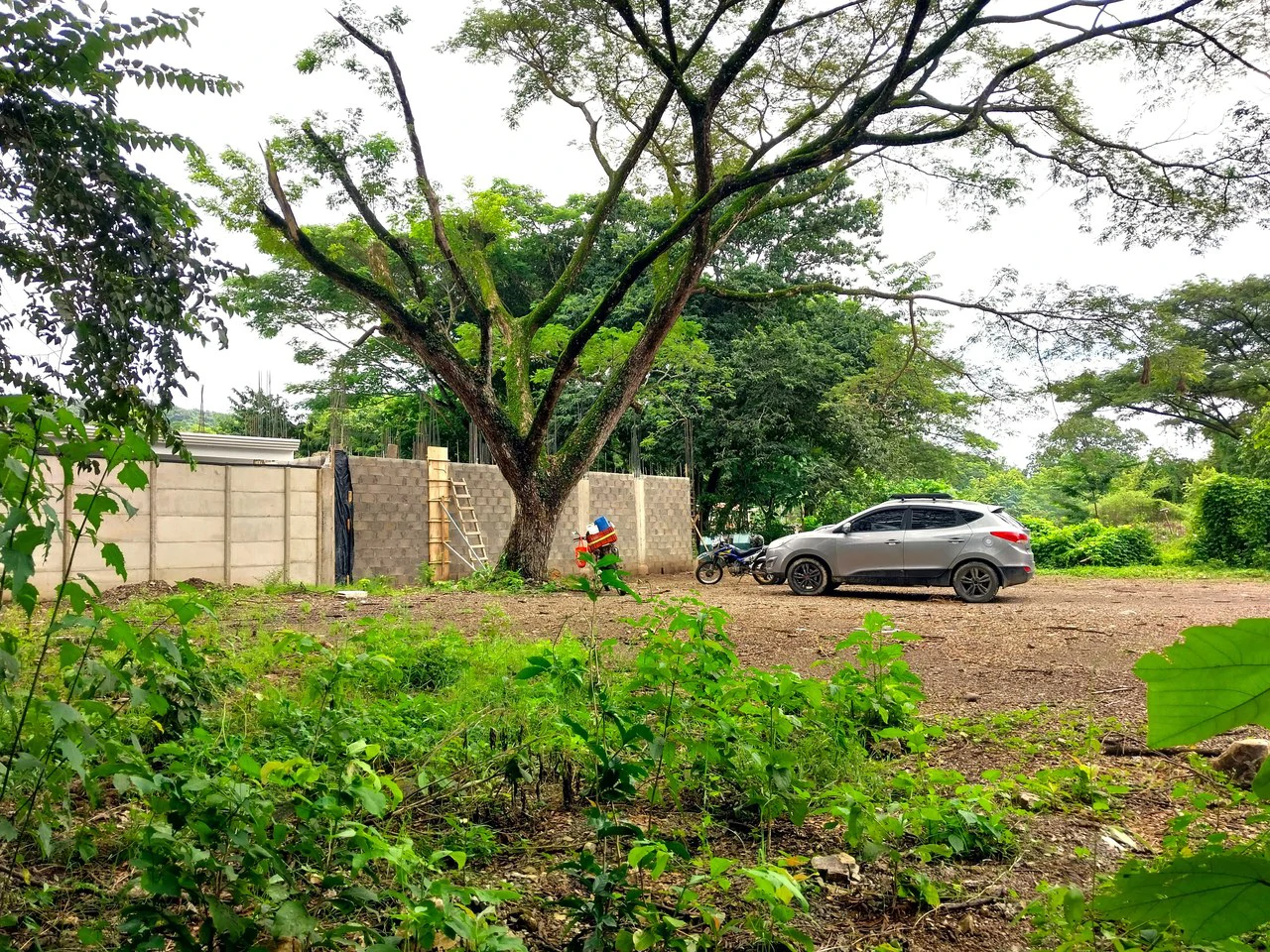 Lot With Water - Fantastic Opportunity in Samara - Gallery image 4