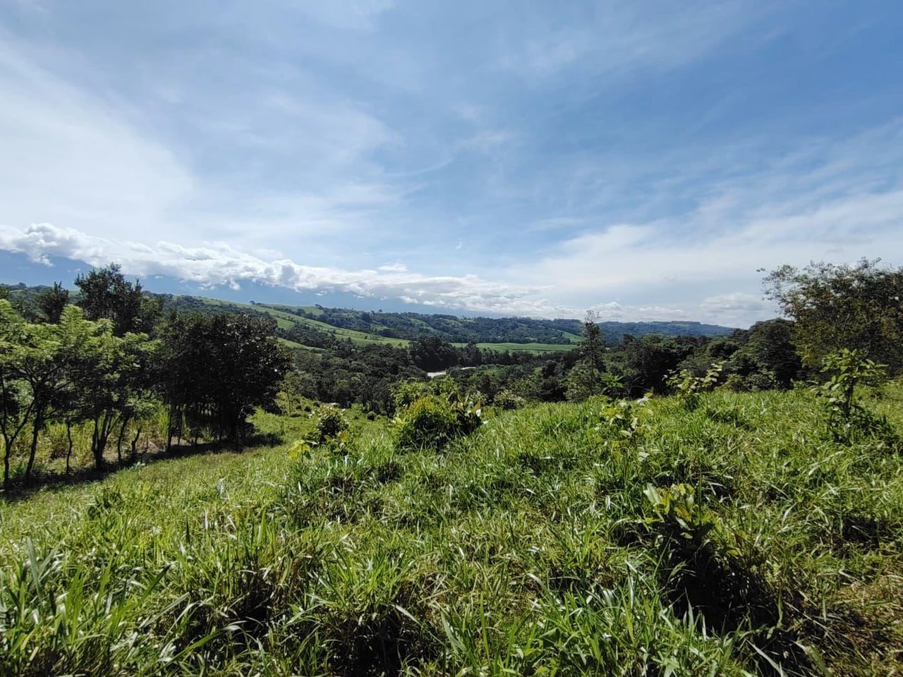 SE VENDE PROPIEDAD EN CAJÓN, COSTA RICA.: Mountain Home Construction Site For Sale in Cajón - Gallery image 19
