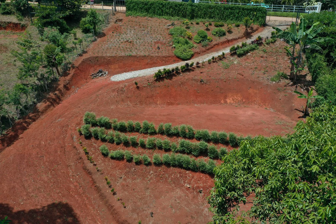 Prime 40,000 Sq. Ft. Building Lot with Mountain & Valley Views in Pérez Zeledón - Gallery image 15