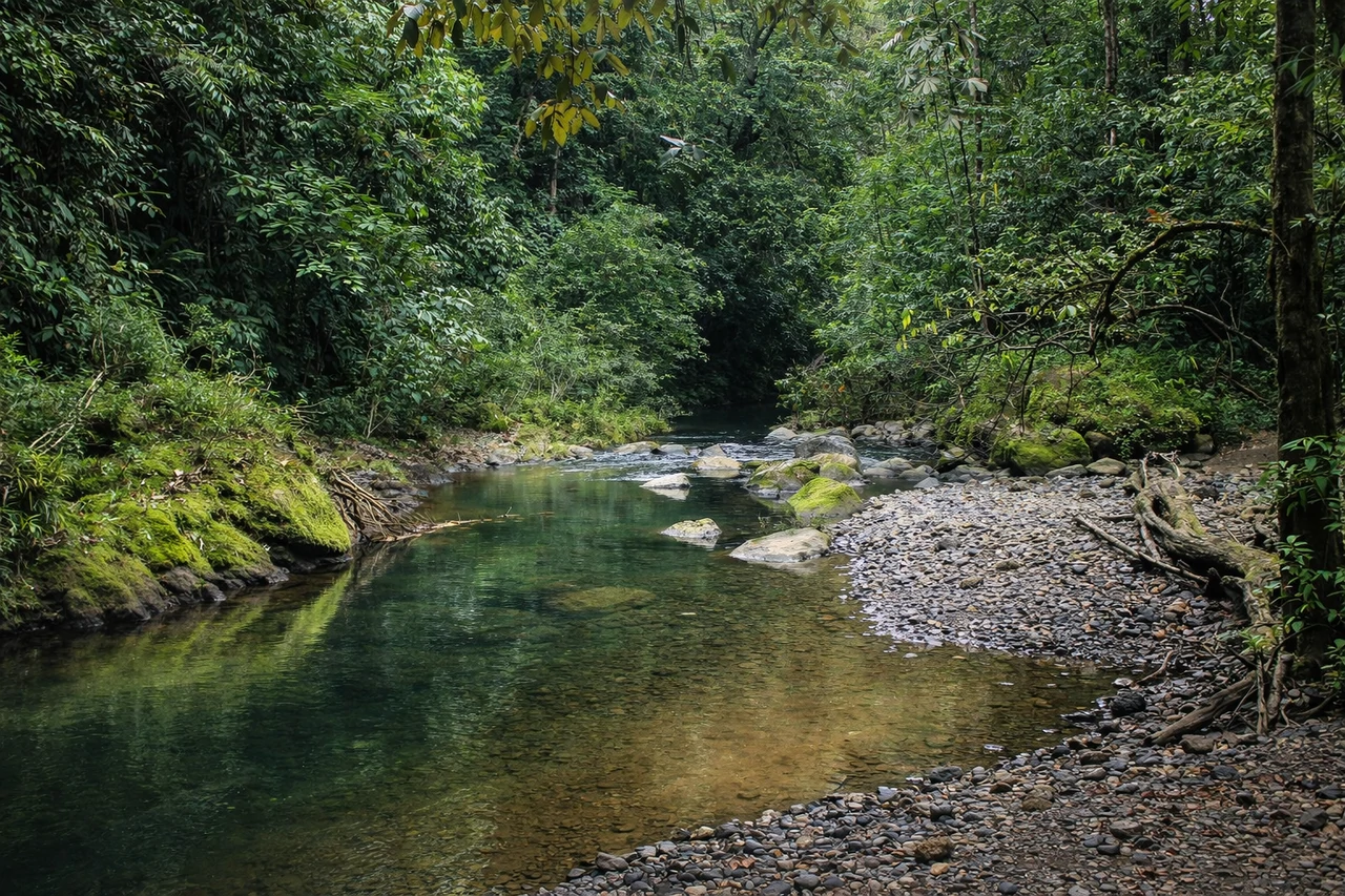 10-Hectare Farm for Sale in Sarapiquí, Heredia – Two Internal Rivers & Public Road Frontage | Ideal for Eco-Development - Gallery image 2