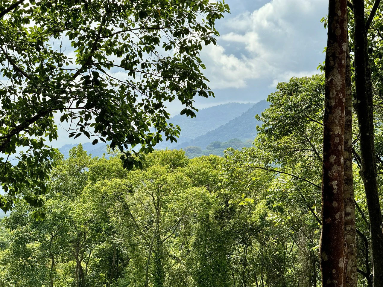 5.11 ACRES – Ocean And Mountain View Estate Property, Several Flat Buildable Areas, Legal ASADA Water!!! - Gallery image 9