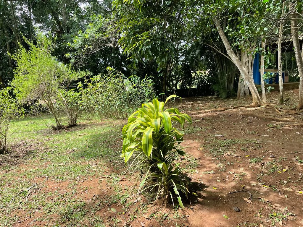 PROPIEDAD PARA INVERSION SABANA LARGA ATENAS: INVESTMENT PROPERTY - Gallery image 6
