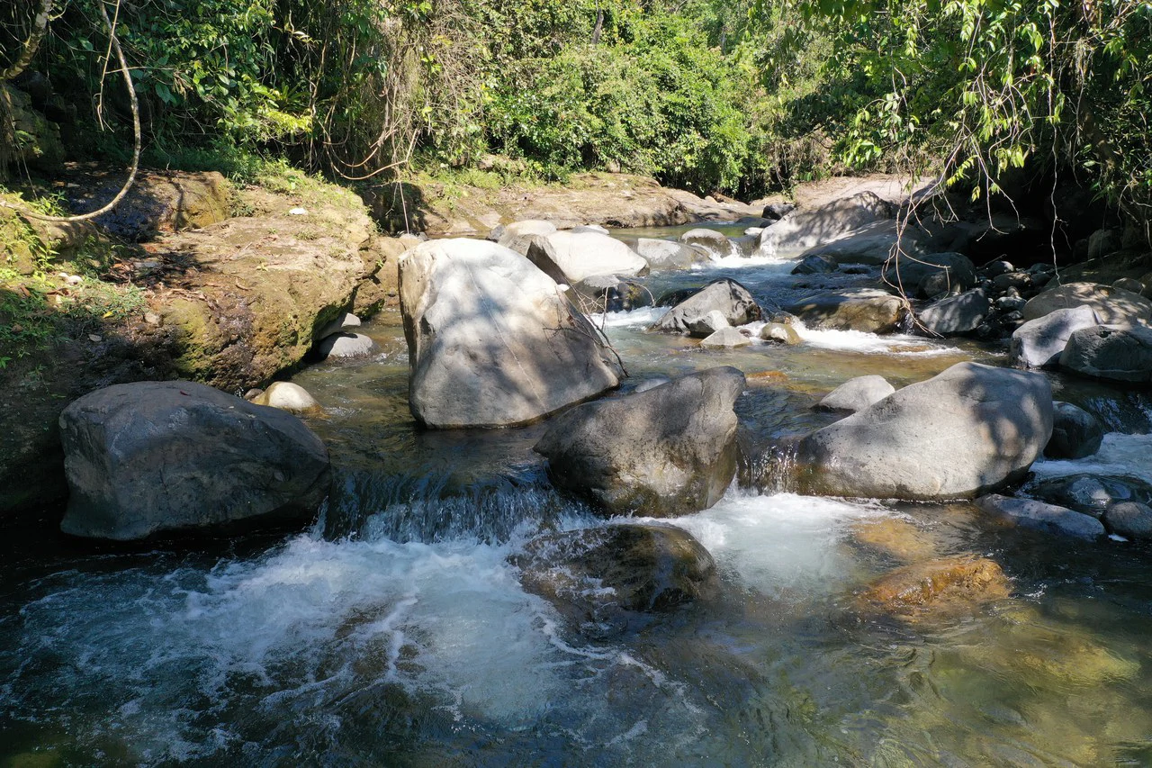 8 Acre Riverfront Sanctuary in San Pedrito Pérez Zeledón - Gallery image 26