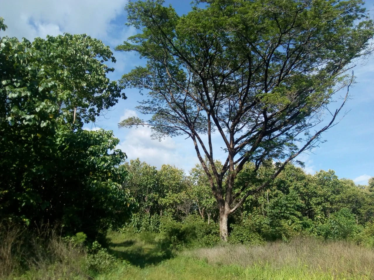 Large commercial property for sale in the Papagayo area, close to the Marina Papagayo or Four Season luxury hotel - Gallery image 7