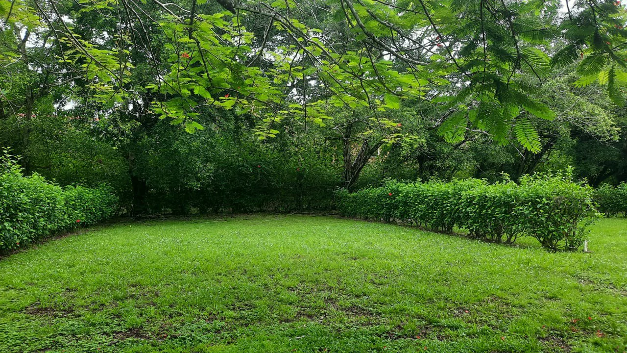 Agricultural Land For Sale in Jacó - Gallery image 5