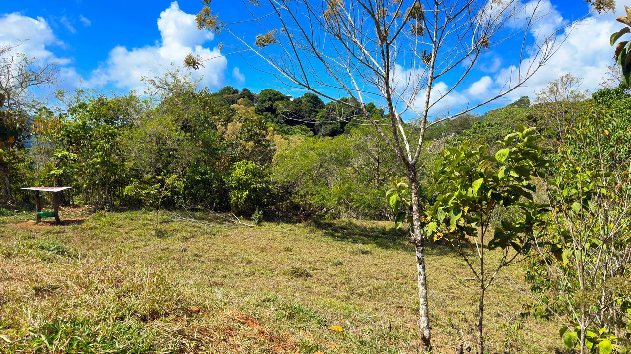 2.8 HA FARM FOR SALE IN SAN LUIS DE MORETE | MOUNTAIN VIEWS AND NEAR THE OCEAN - Gallery image 9