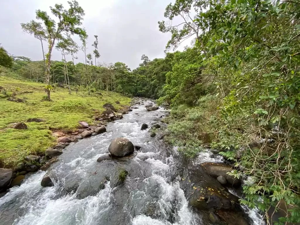 The farm is sold in Alajuela