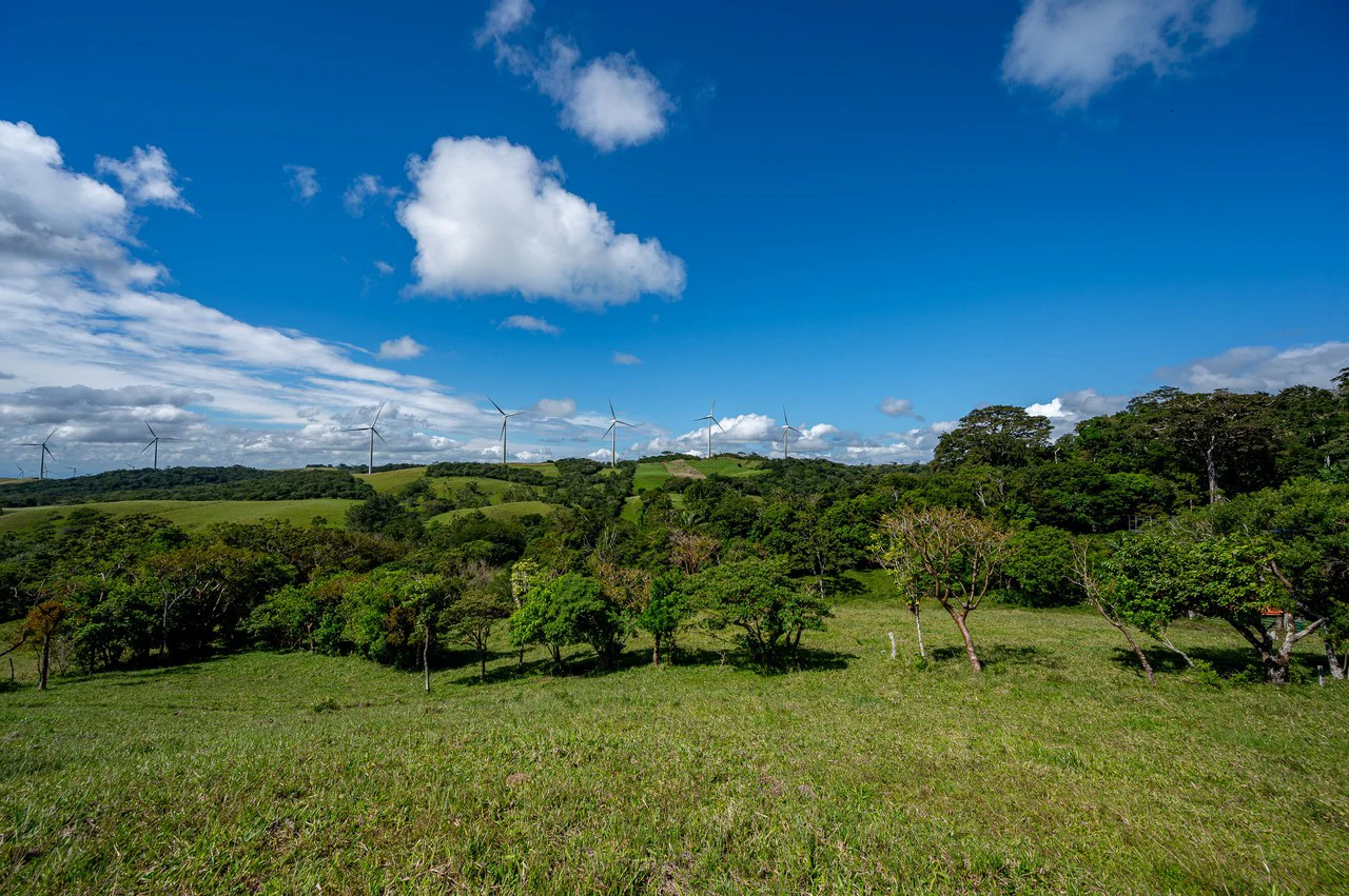 LA CABAÑA - COUNTRY ESTATE WITH HUGE POTENTIAL - Gallery image 47