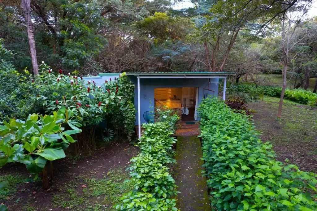 Countryside and Mountain Property For Sale in Curubandé - Gallery image 6