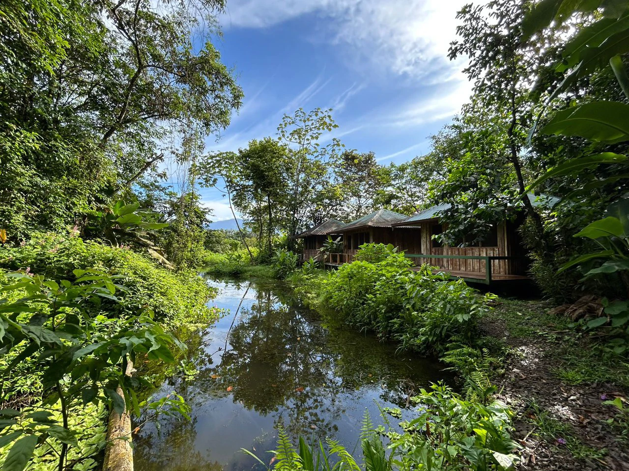 60 Acre Fully Sustainable and Impactful Conservation Initiative Near Golfito: Mountain Multi Unit Building For Sale in Golfito - Gallery image 29
