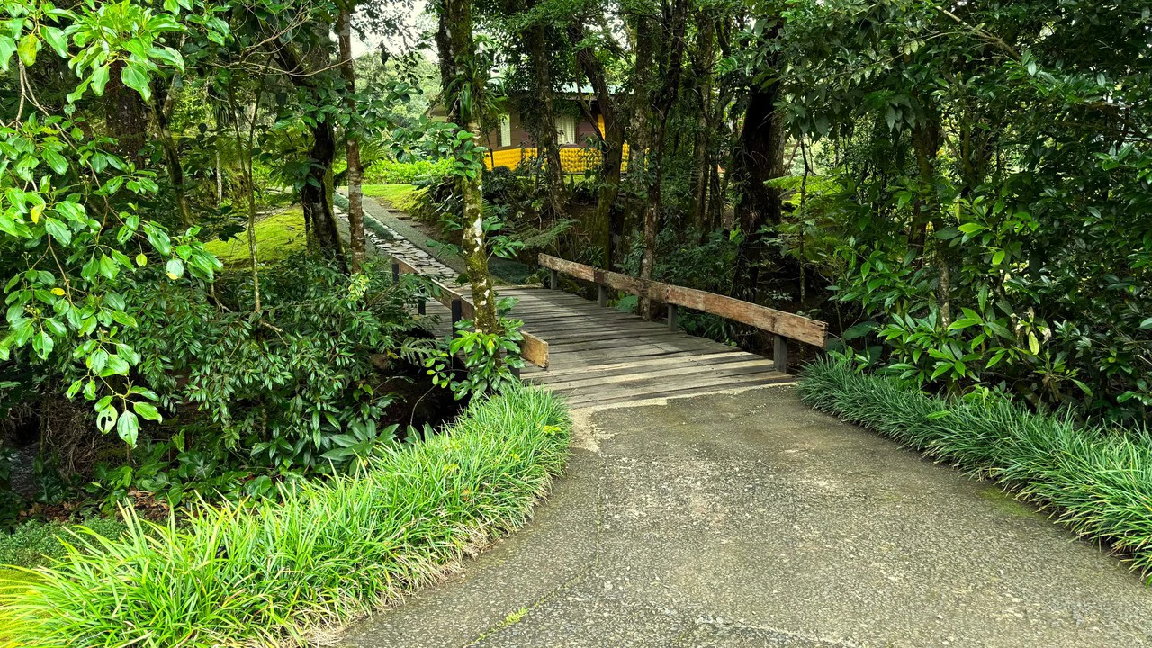 Hidden Paradise in Monteverde. Sierra Verde SV0125: 5 Hectares with Spectacular Views, a Beautiful and Cozy Main House and Caretaker’s Home Just 10 Minutes from Monteverde - Gallery image 10