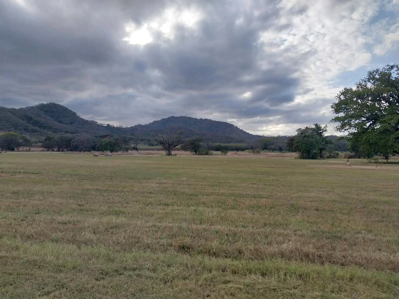 Development Parcel For Sale in Santa Cruz - Gallery image 3