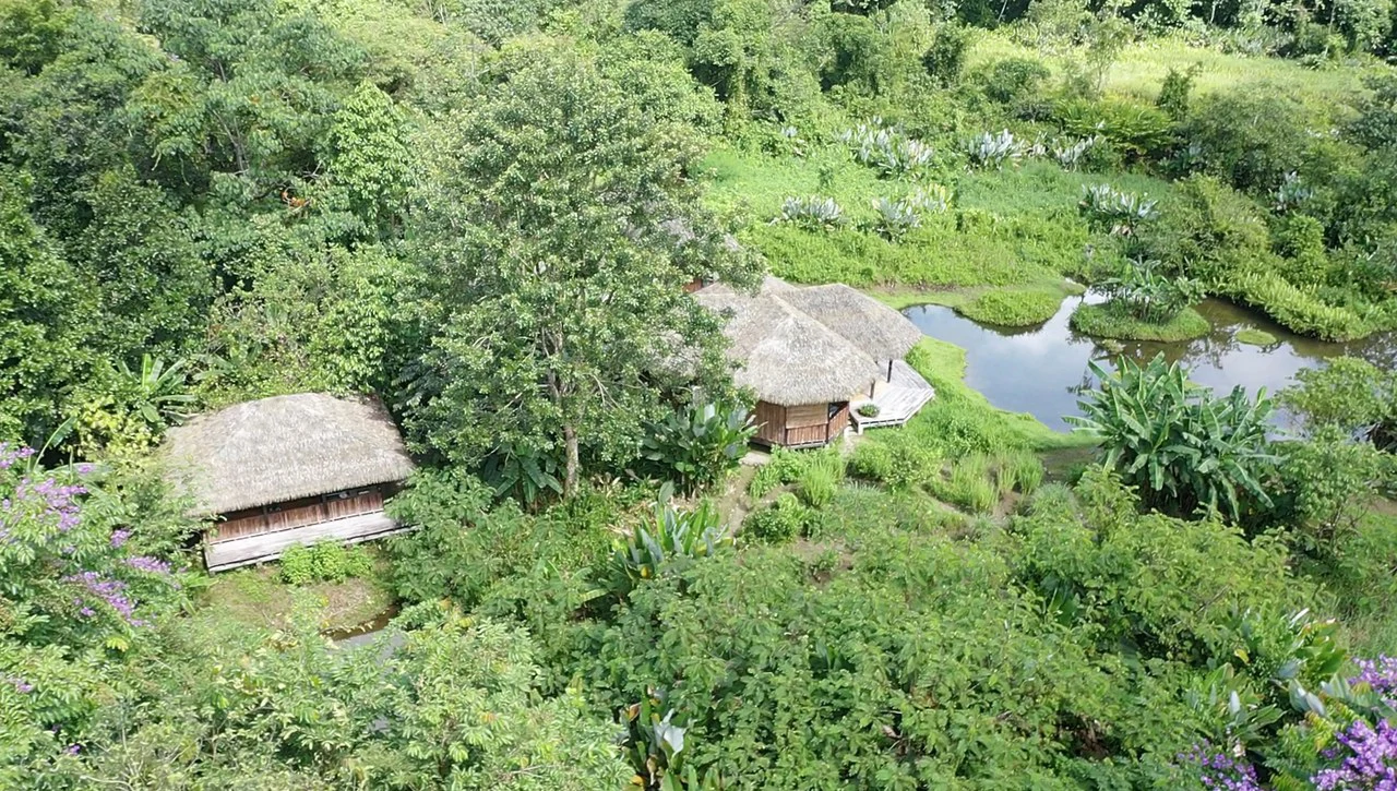 60 Acre Fully Sustainable and Impactful Conservation Initiative Near Golfito: Mountain Multi Unit Building For Sale in Golfito - Gallery image 5