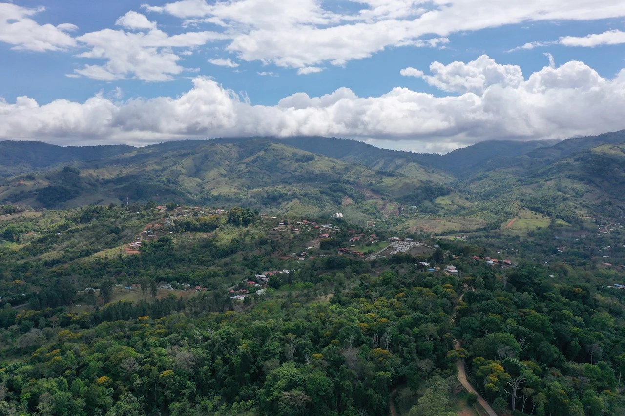 Elevated Two and a Half Acres with Cool Breeze in San Isidro del General - Gallery image 12