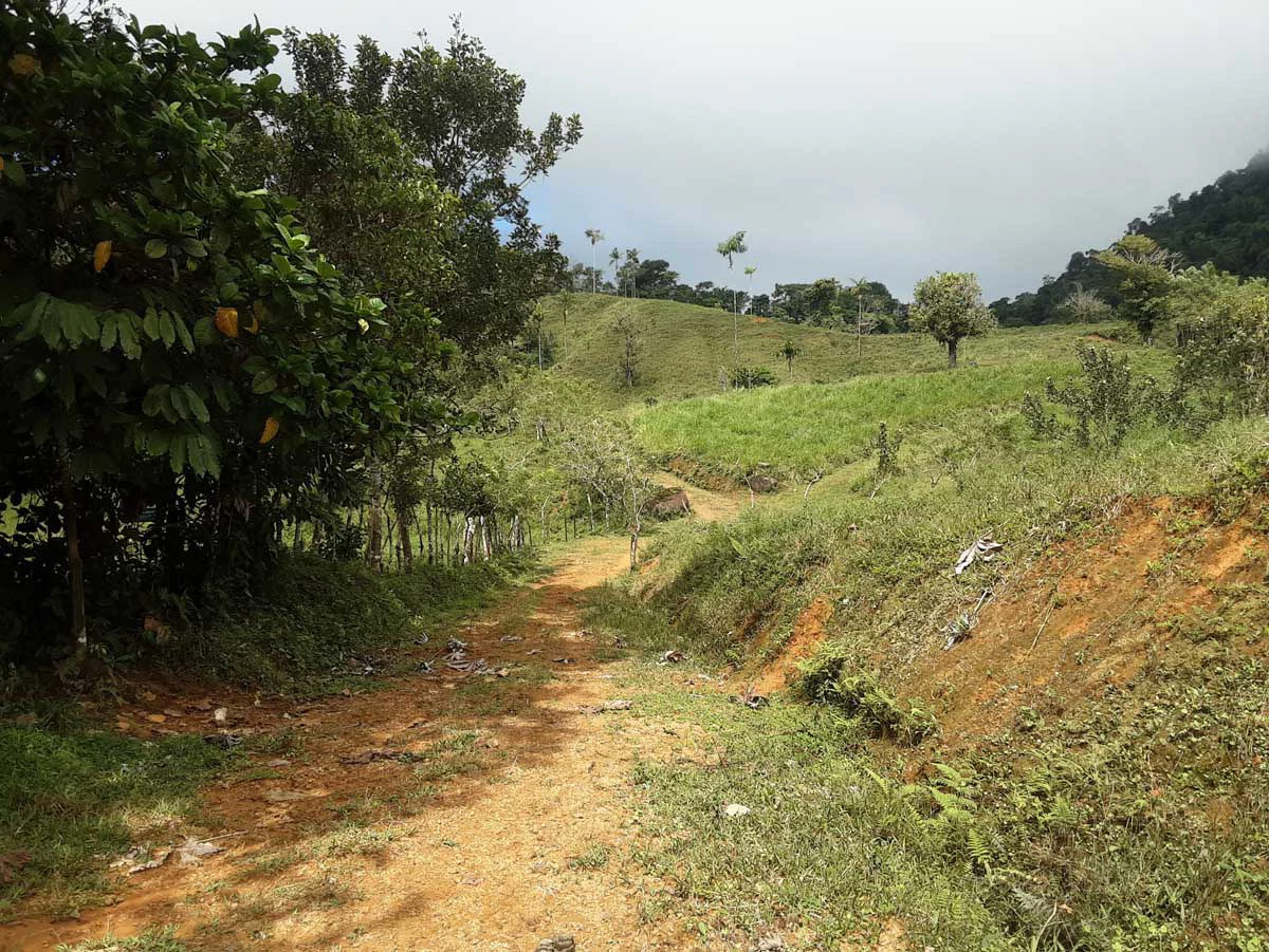 Finca Tesoro Escondido - The Jewel of Uvita - Gallery image 44