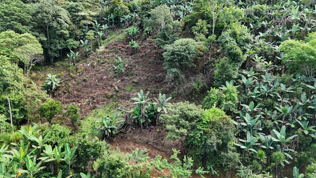 Lote en Chimirol.: Mountain Home Construction Site For Sale in Buena Vista - Gallery image 7