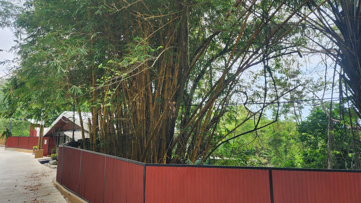 Manuel Antonio Villa: Manuel Antonio Villa with Subdividable Lot or Expansion - Gallery image 41
