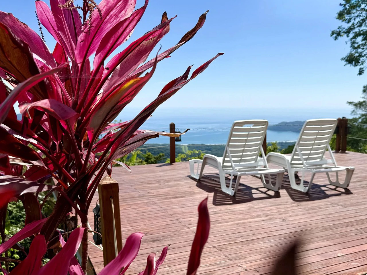 CASA DE LAPAS - OCEAN VIEW: Could you live at the Top of a Mountain in Costa Rica?  Because.... now you can!  Billion dollar views for only $1 Million USD. - Gallery image 6